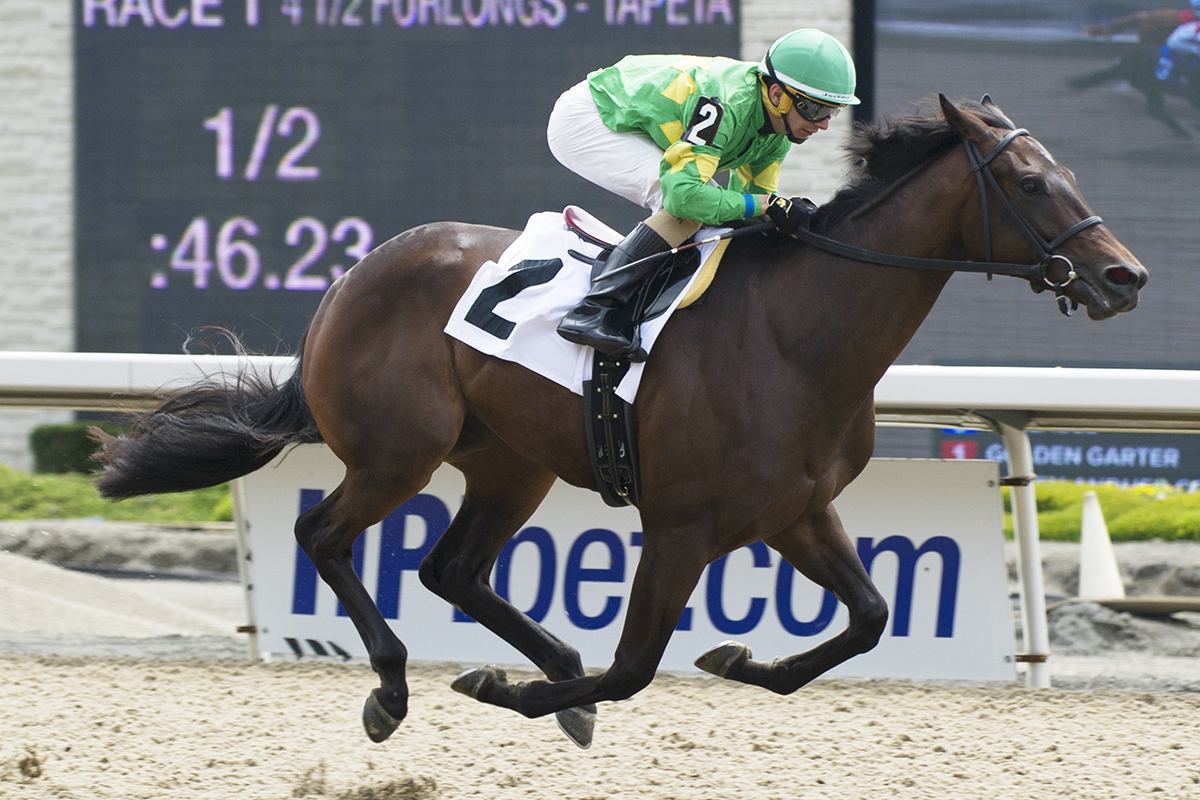 My Gal Betty wins a May 20 maiden race