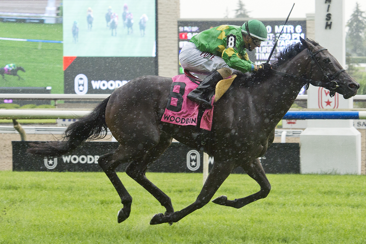 My Gal Betty wins the Catch a Glimpse Stakes