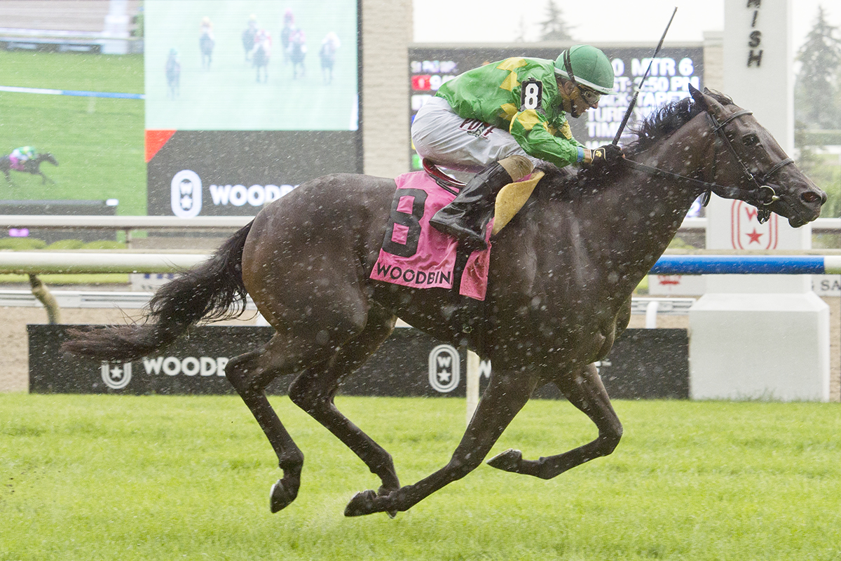 My Gal Betty wins the 2018 Catch A Glimpse Stakes