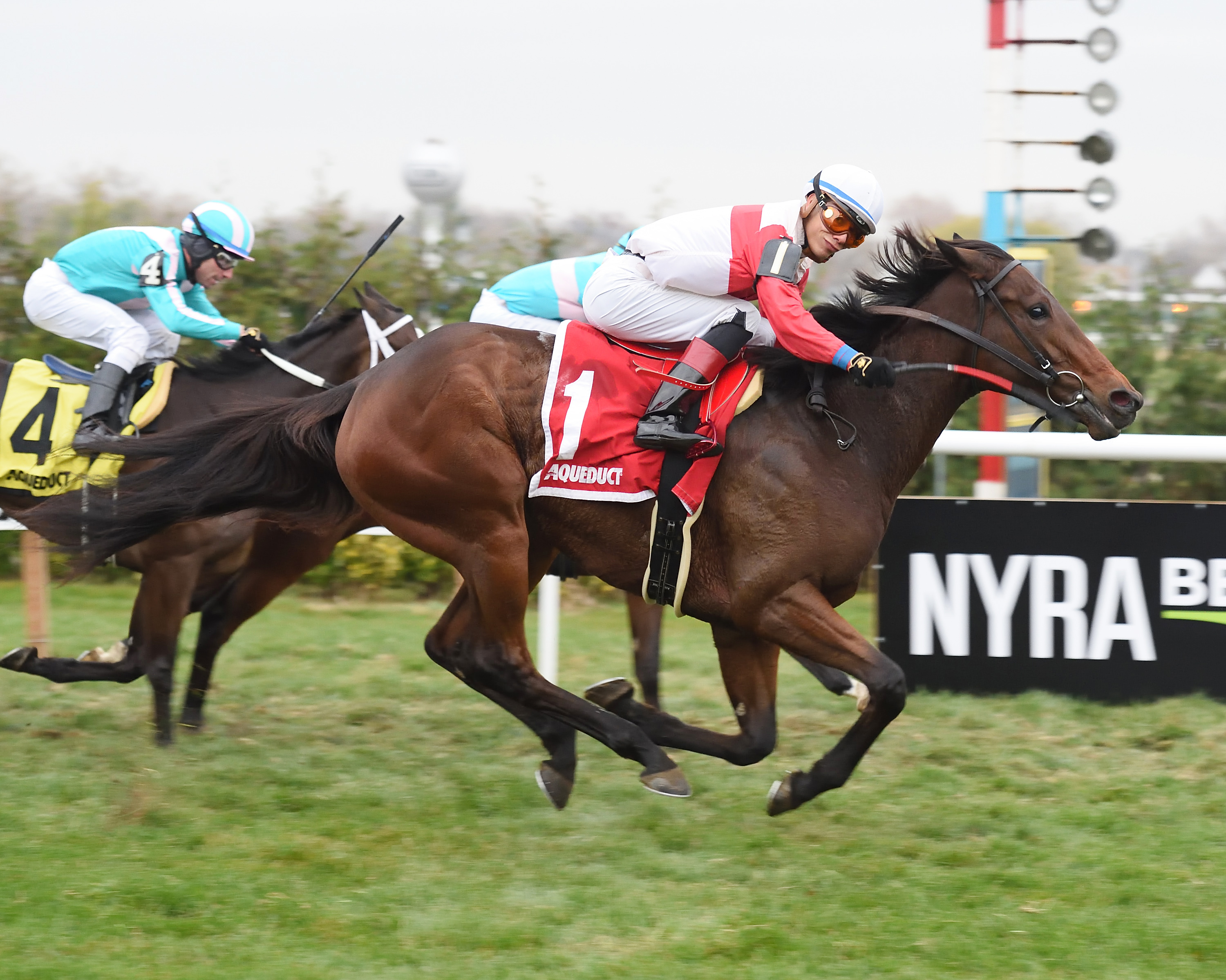My Impression wins the Winter Memories Stakes