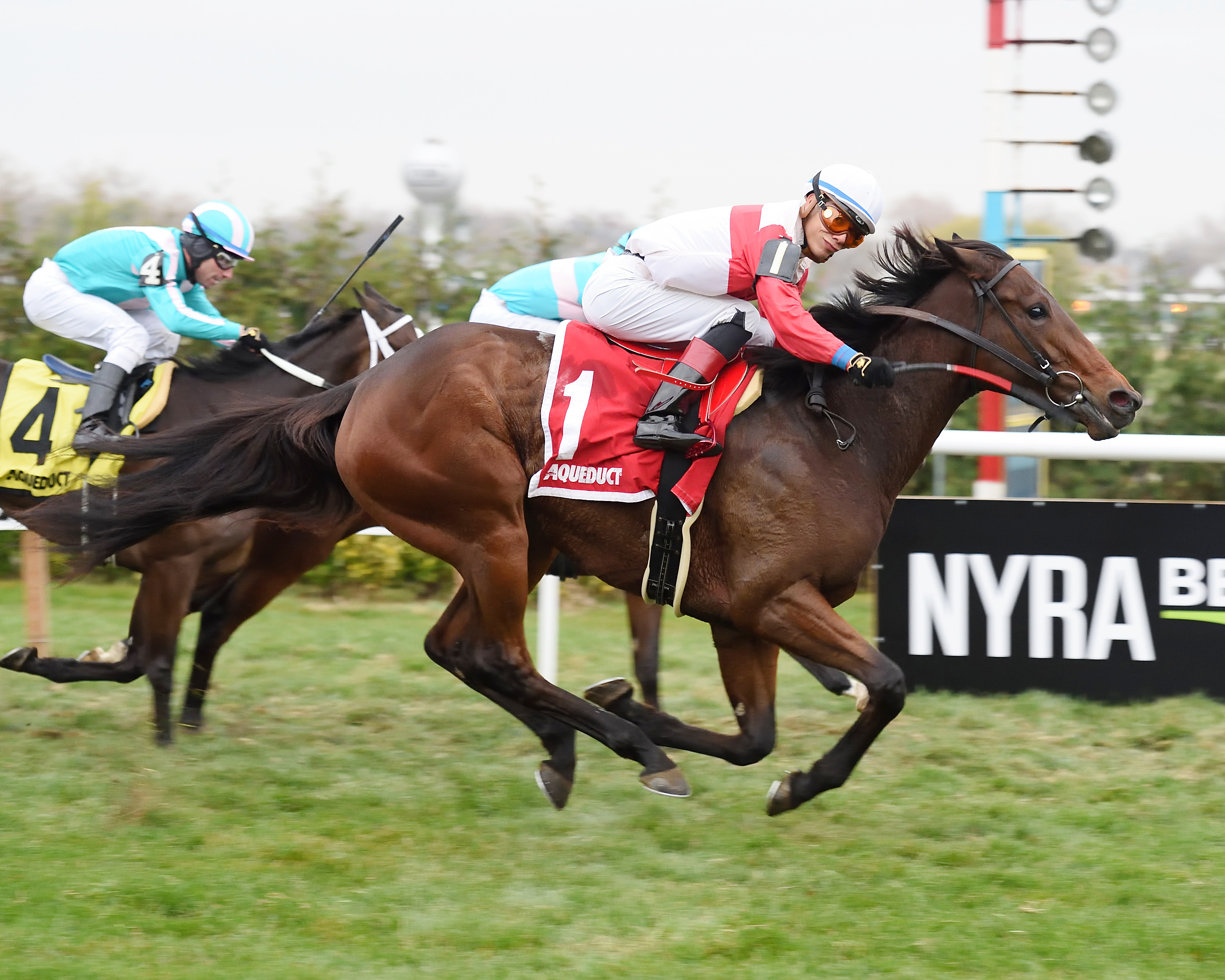 My Impression wins the 2016 Winter Memories Stakes