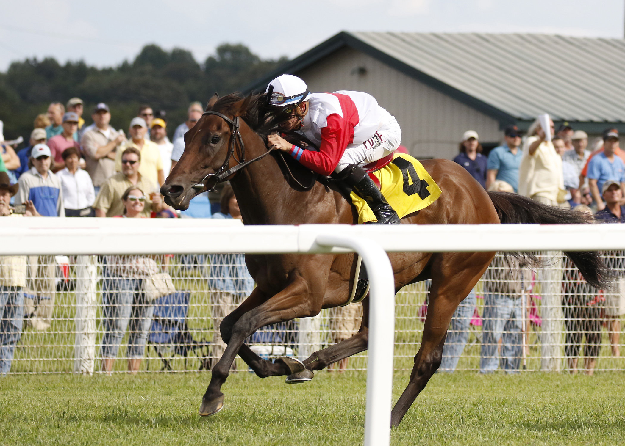 My Impression wins the One Dreamer Stakes