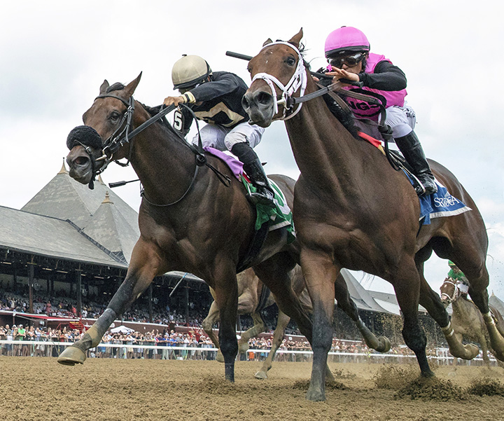 My Italian Rabbi wins the 2019 Stillwater Stakes at Saratoga Race Course