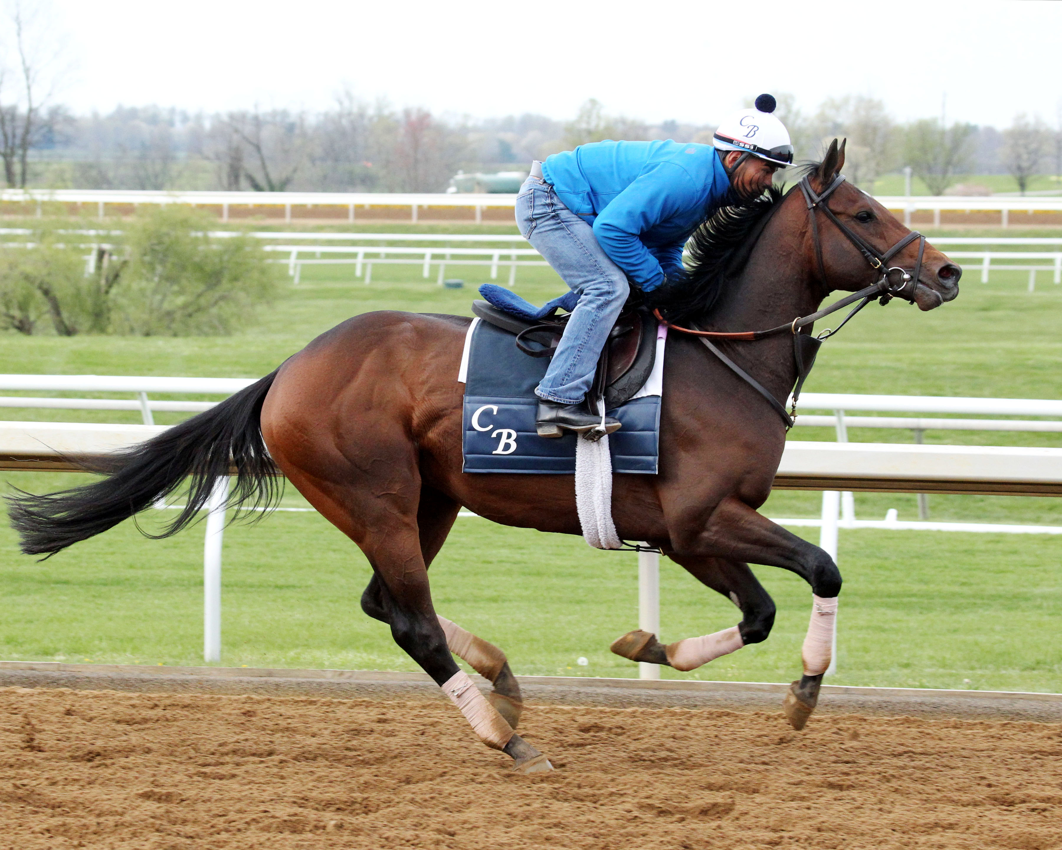 My Man Sam trains at Keeneland on April 6