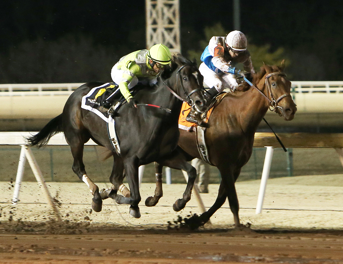 My Master Plan wins the Trapeze Stakes