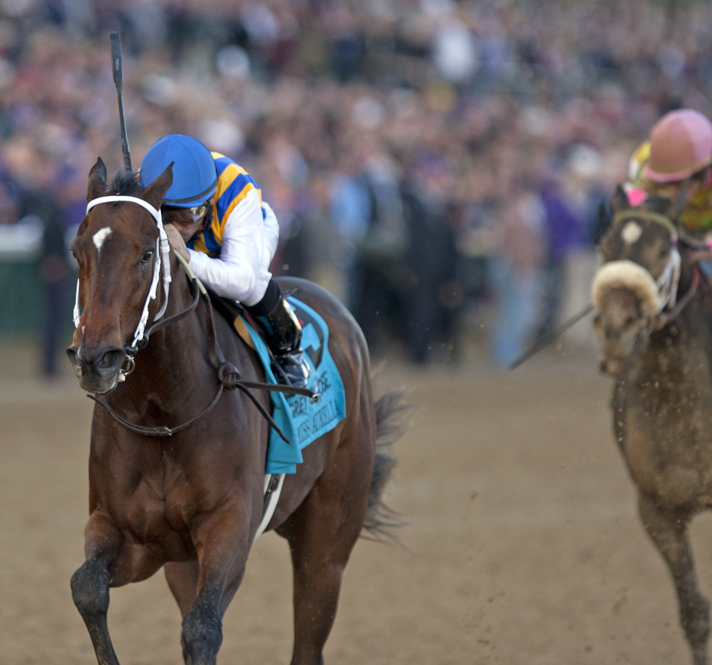 My Miss Aurelia, BC Juvenile Fillies