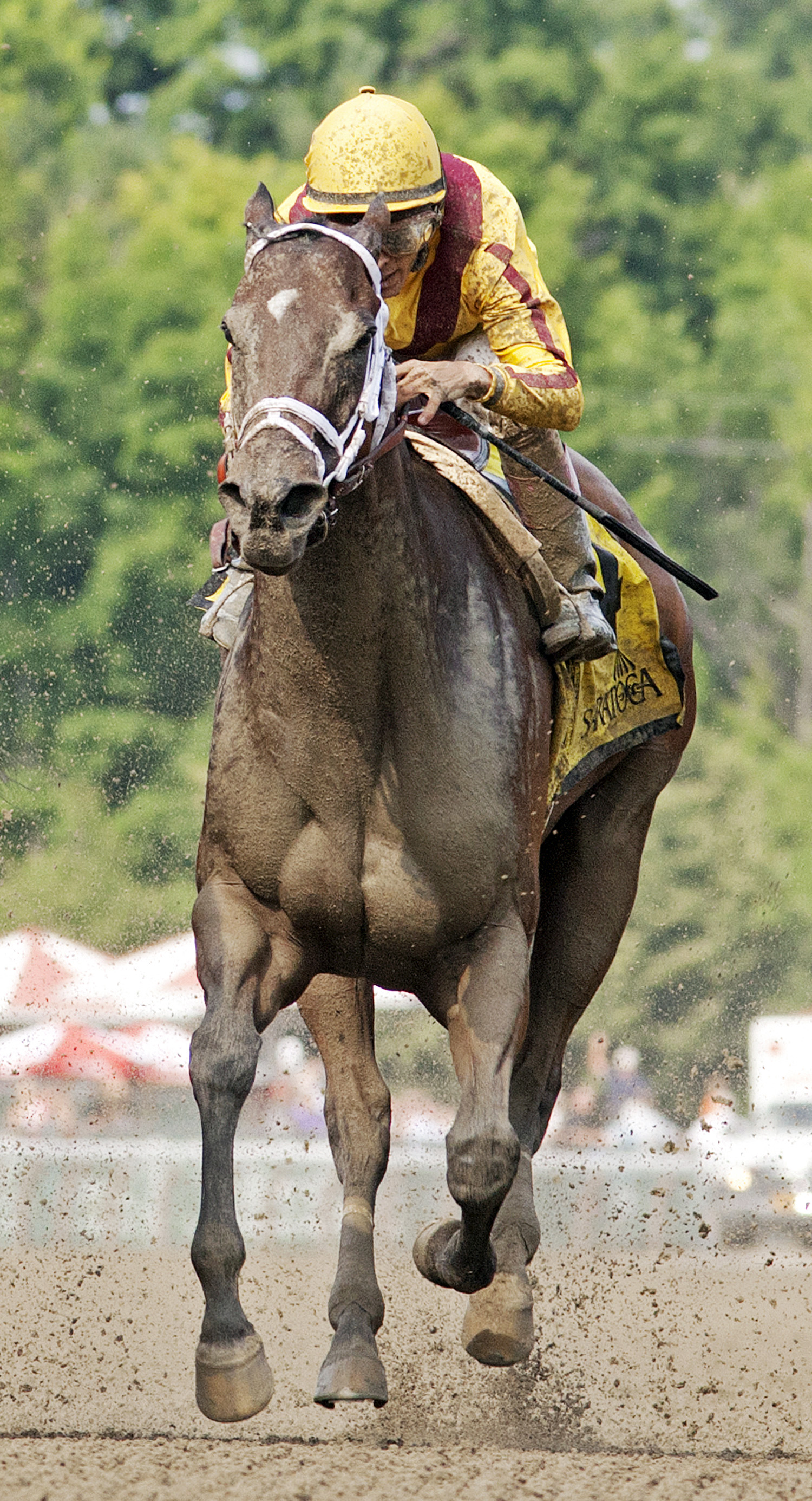 My Miss Aurelia finishes third in the Shine Again
