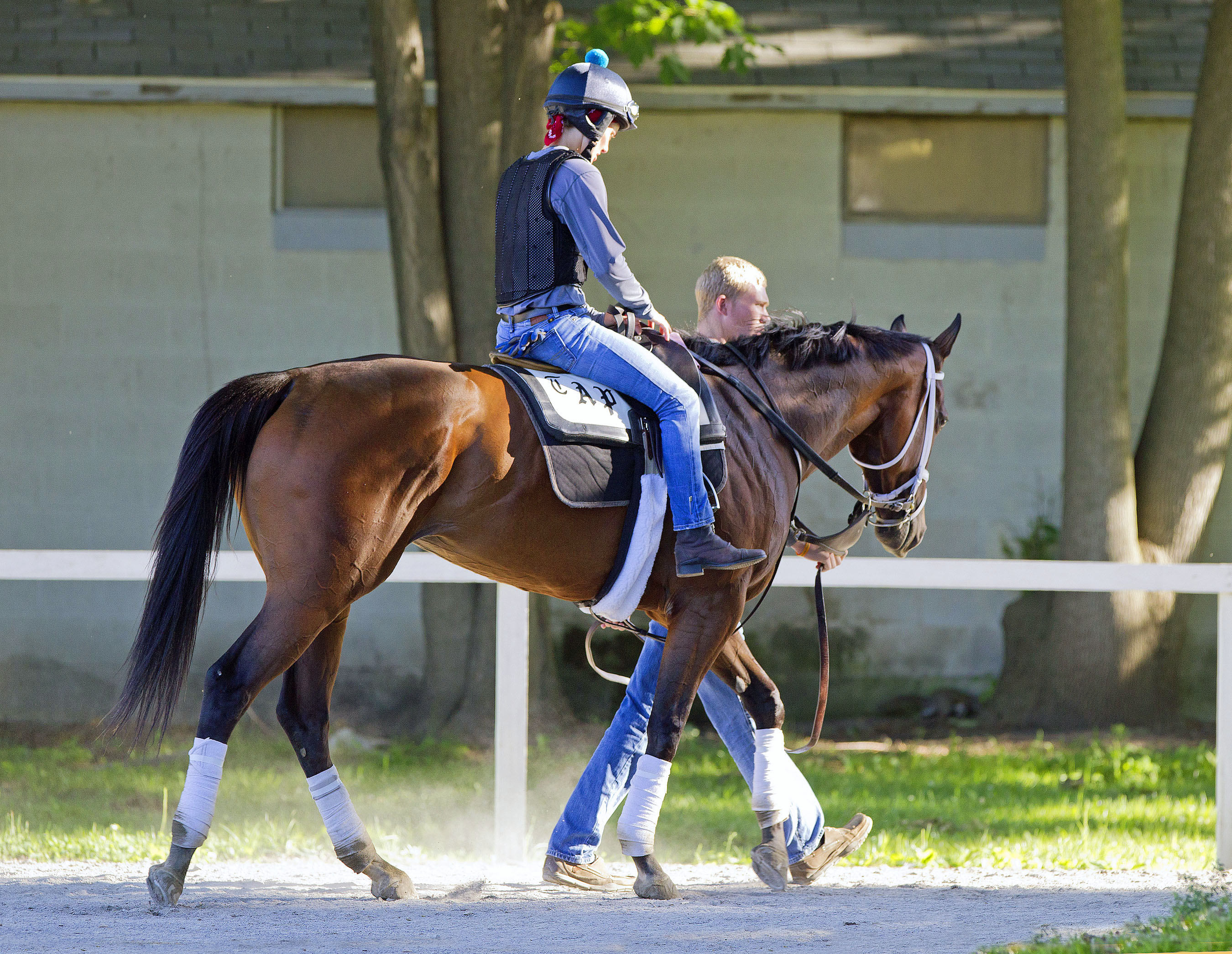 My Miss Aurelia at Saratoga