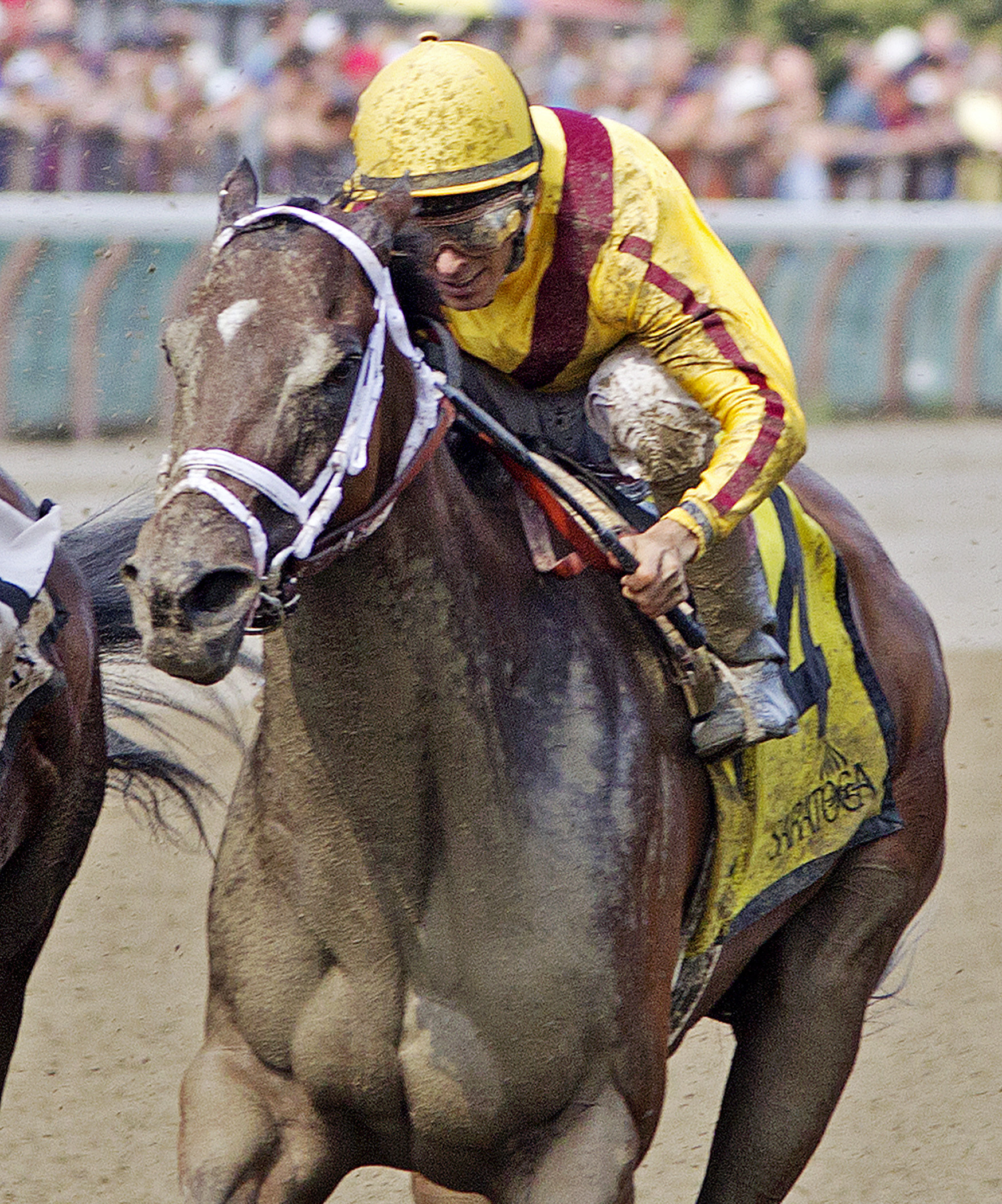 My Miss Aurelia finishes third in the Shine Again