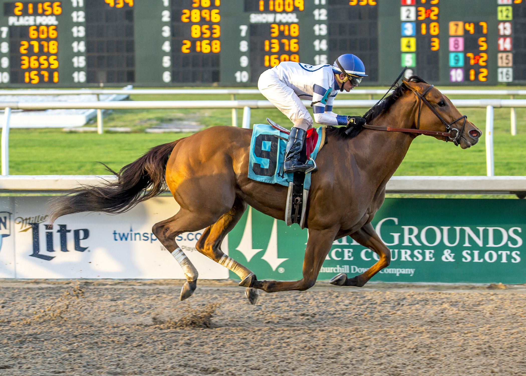 My Miss Chiff wins the 2017 Happy Ticket Stakes