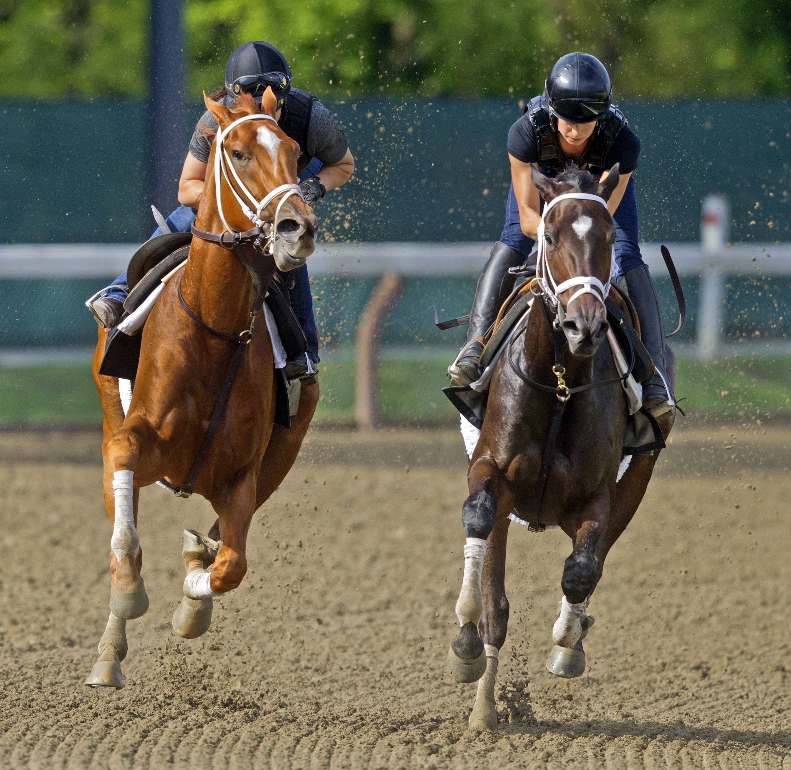 My Miss Sophia and Stopchargingmaria training on July 14