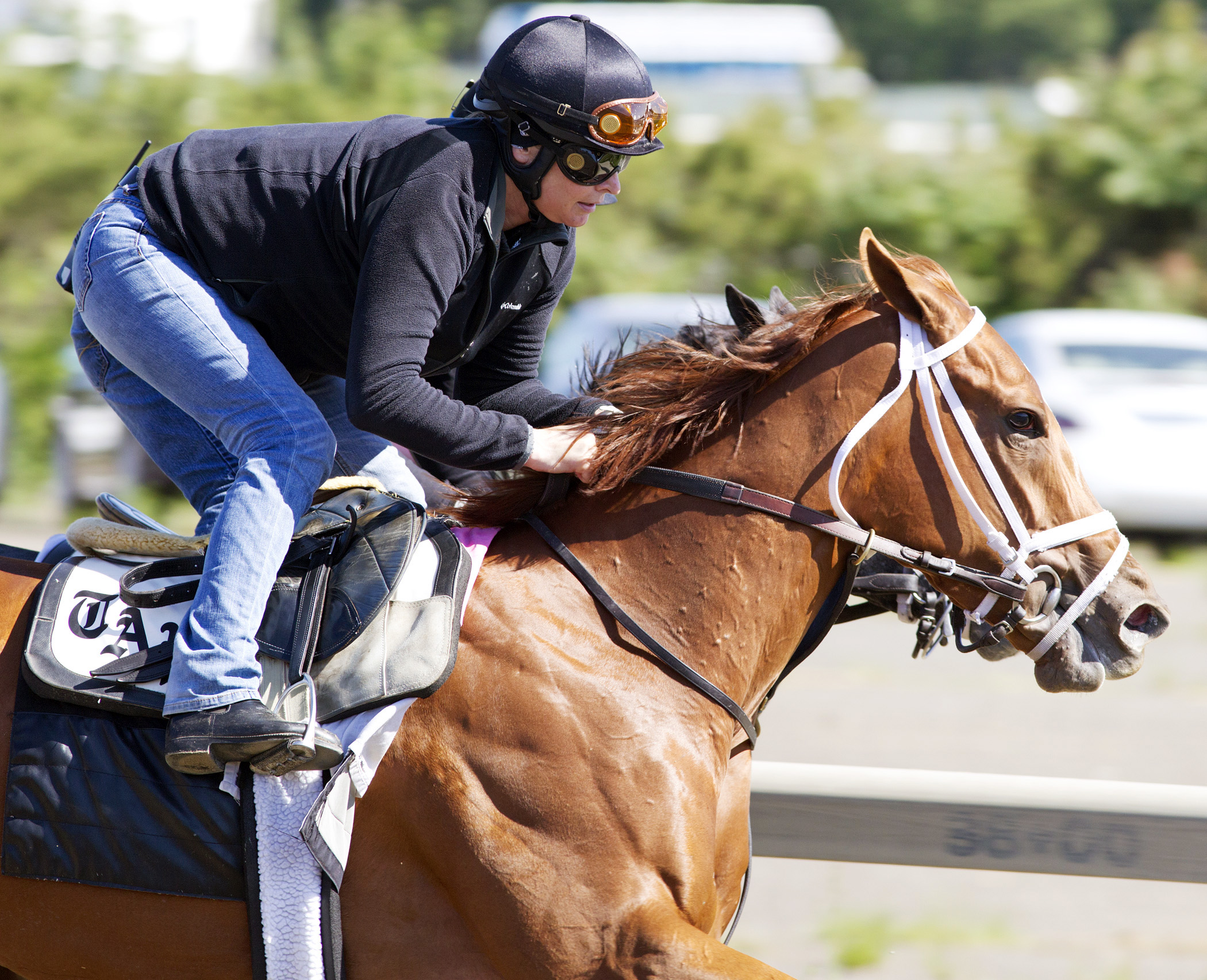 My Miss Sophia at Belmont on June 1