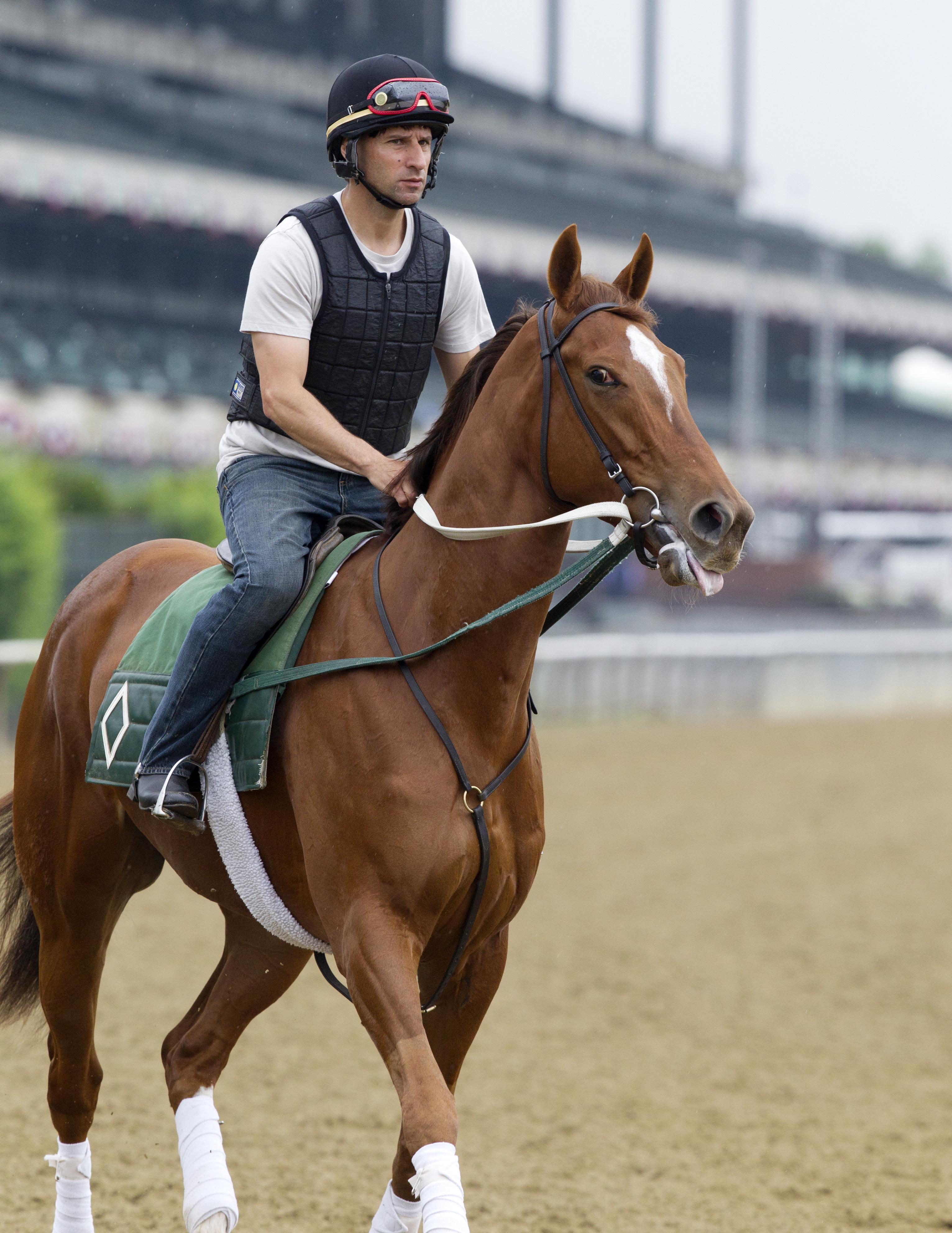 My Miss Sophia at Belmont Park on June 3