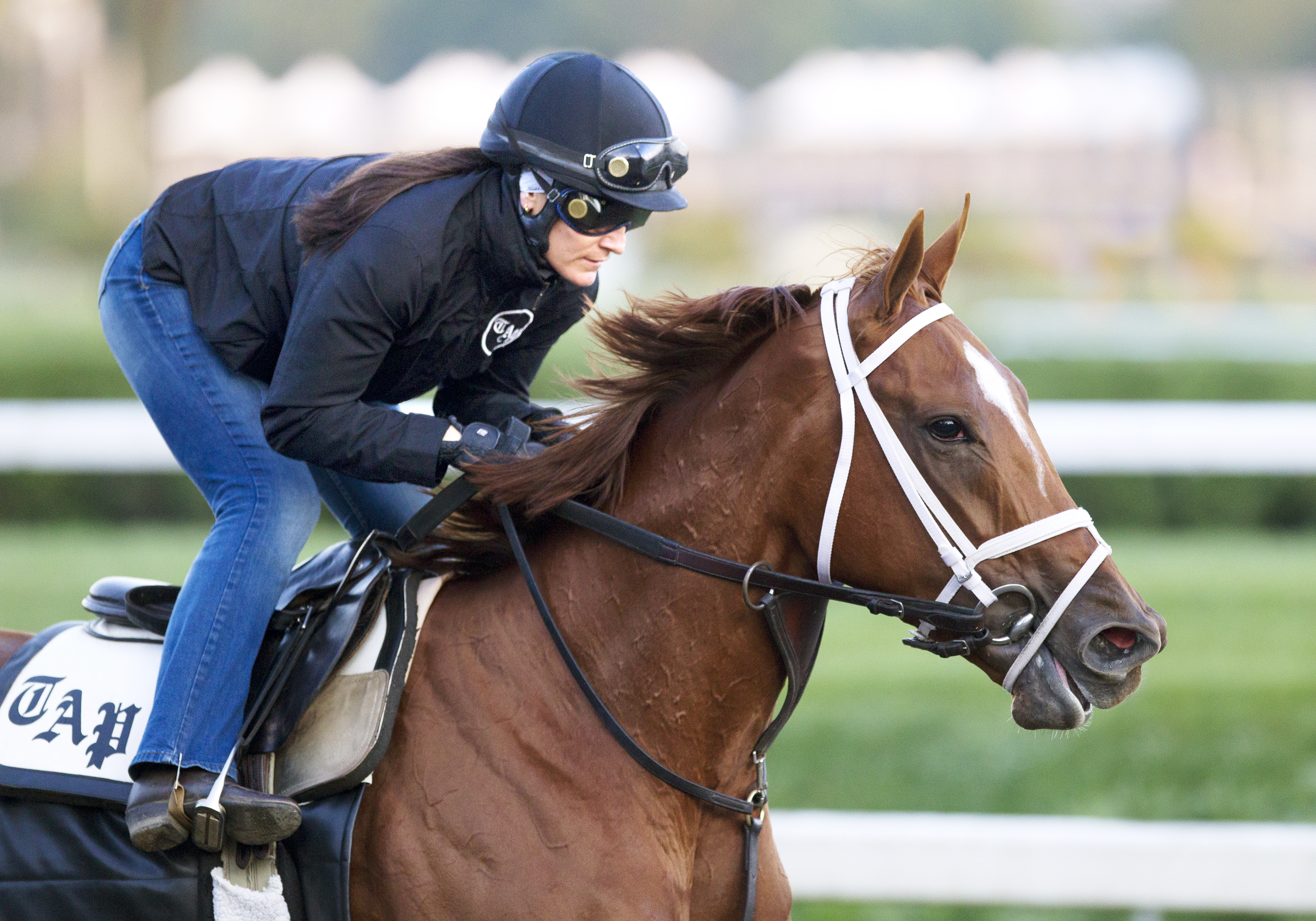 My Miss Sophia training at Saratoga on July 12