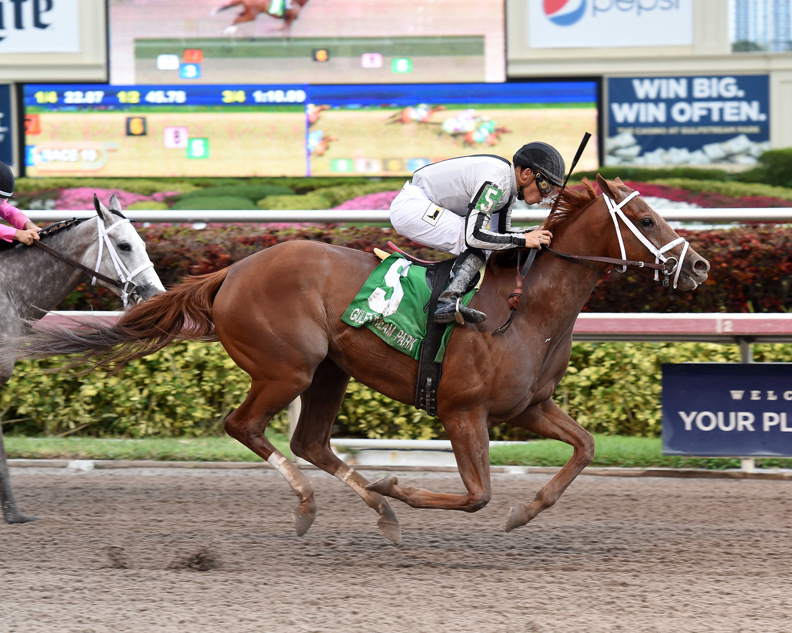 My Miss Tapit 4-22-2017