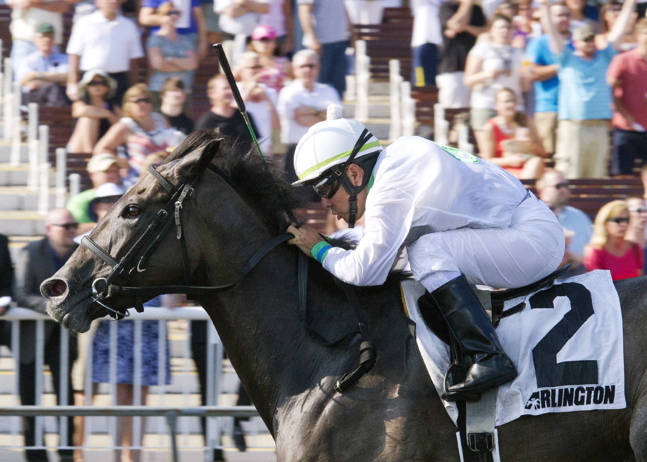 My Option wins the Chicago Handicap