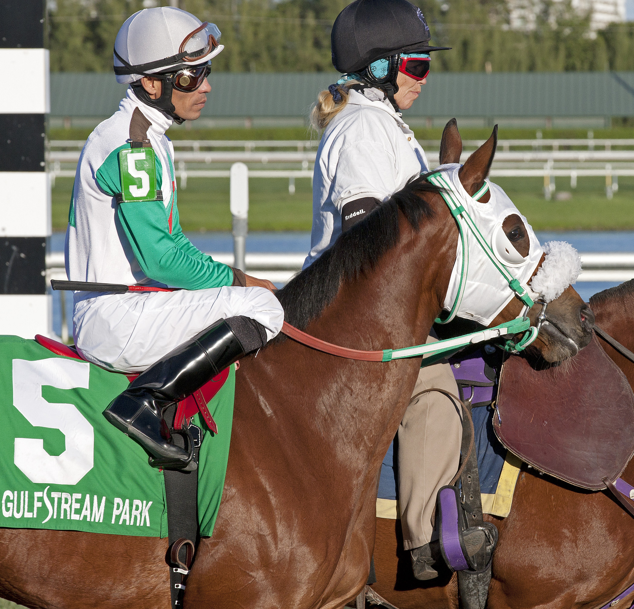My Pal Chrisy, Sabin Stakes