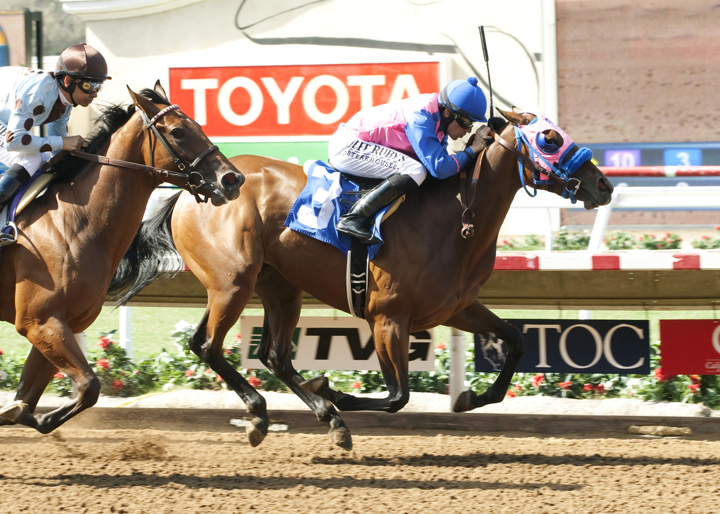 My Palmilla wins a maiden race