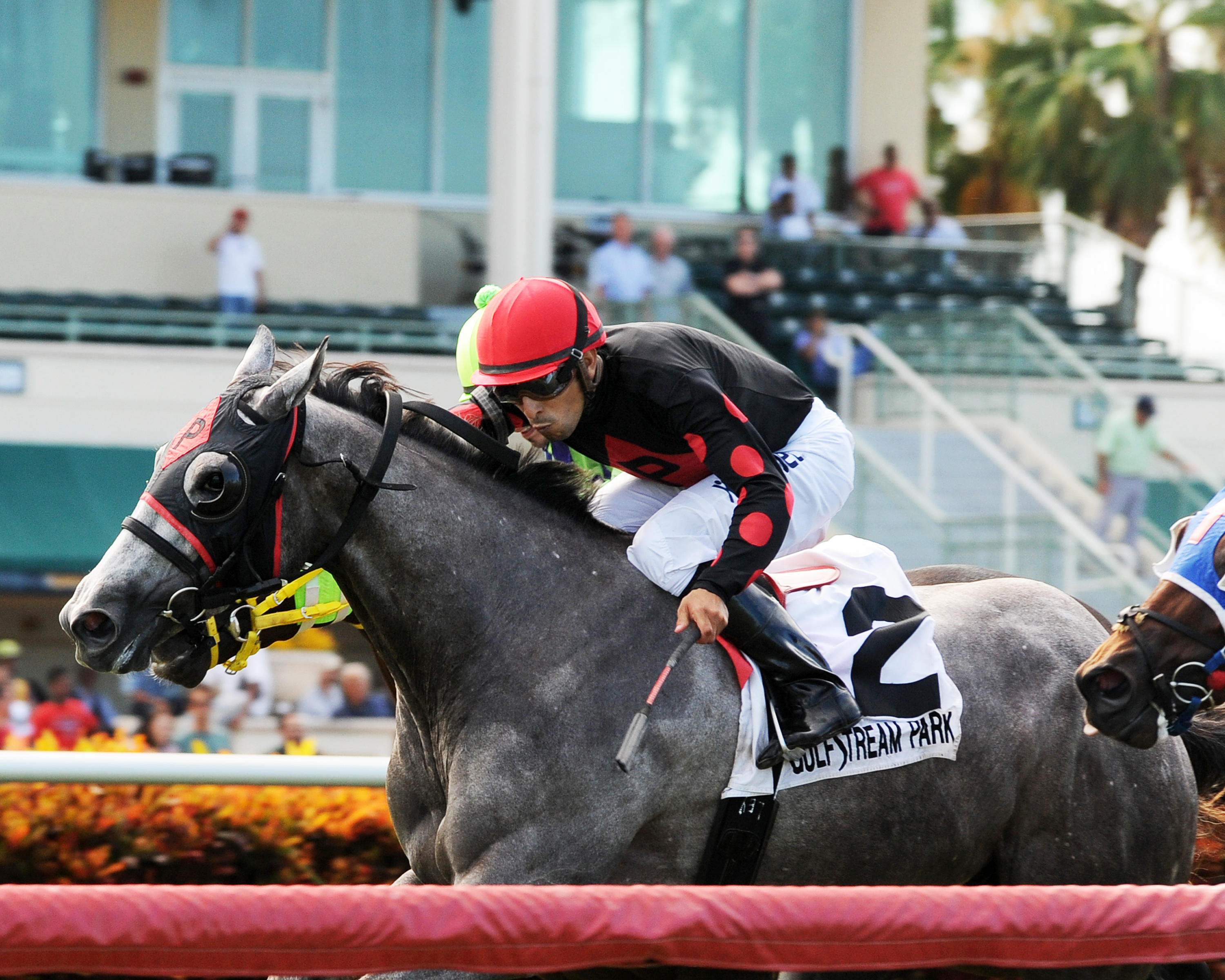 My Point Exactly wins the King Cugat Handicap