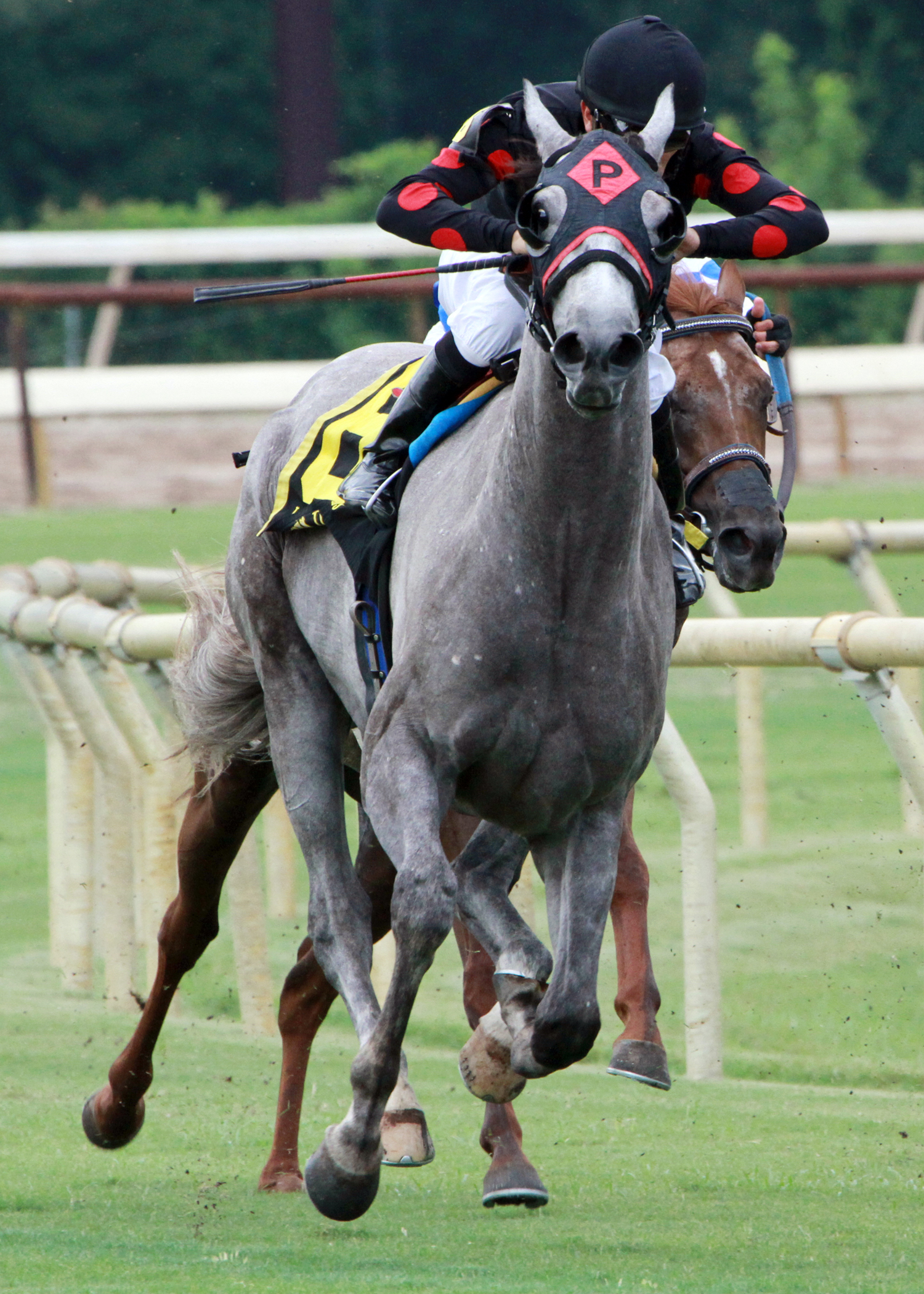 My Point Exactly wins the Sunday Silence