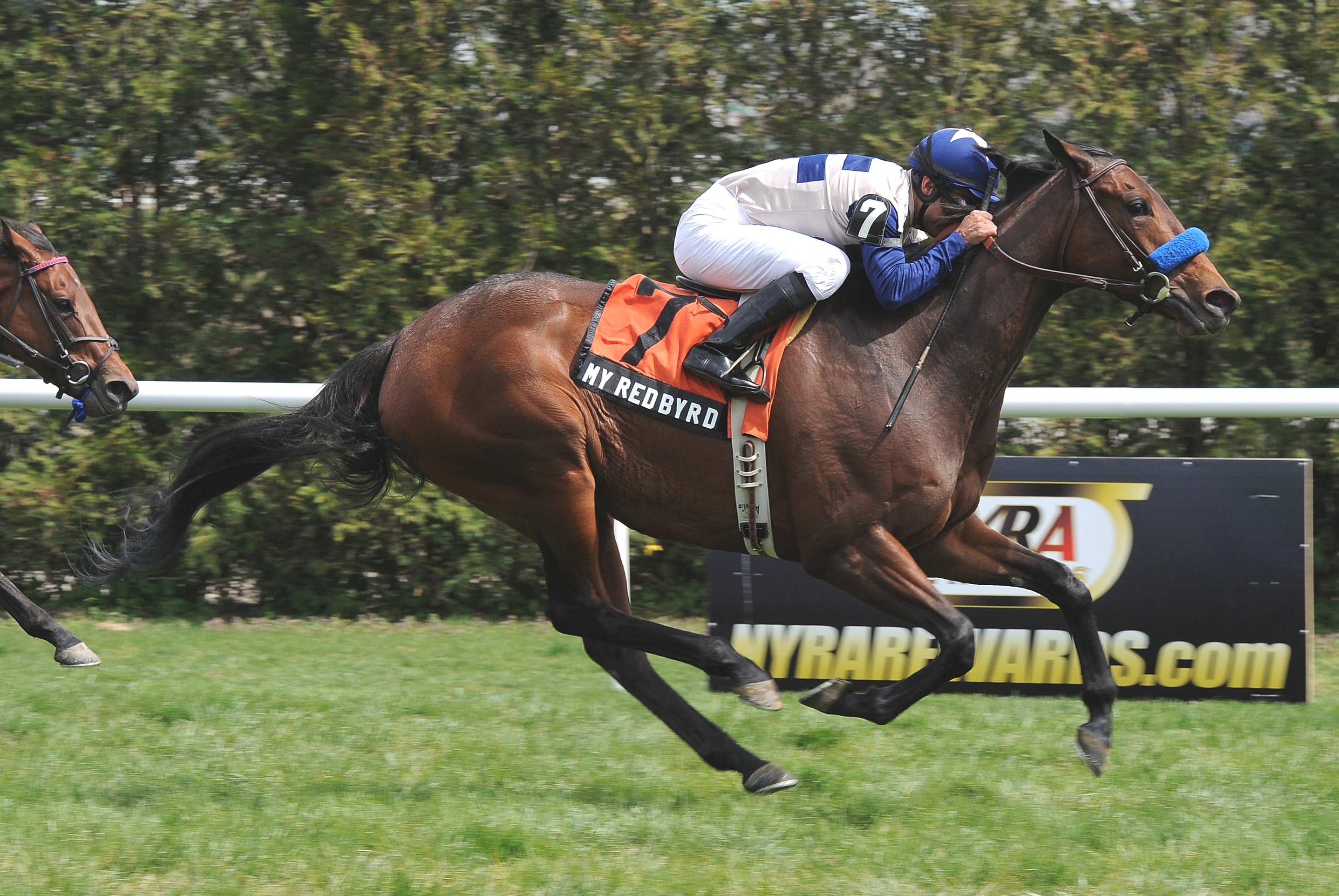 My Redbyrd, Videogenic Stakes, April 14, 2012