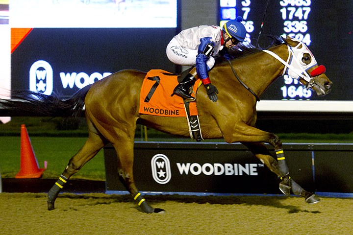 My Silencer wins the Frost King Stakes