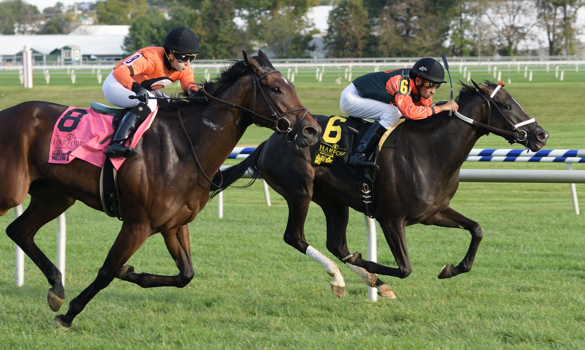 My Sistersledge wins the 2017 Maryland Million Ladies Stakes