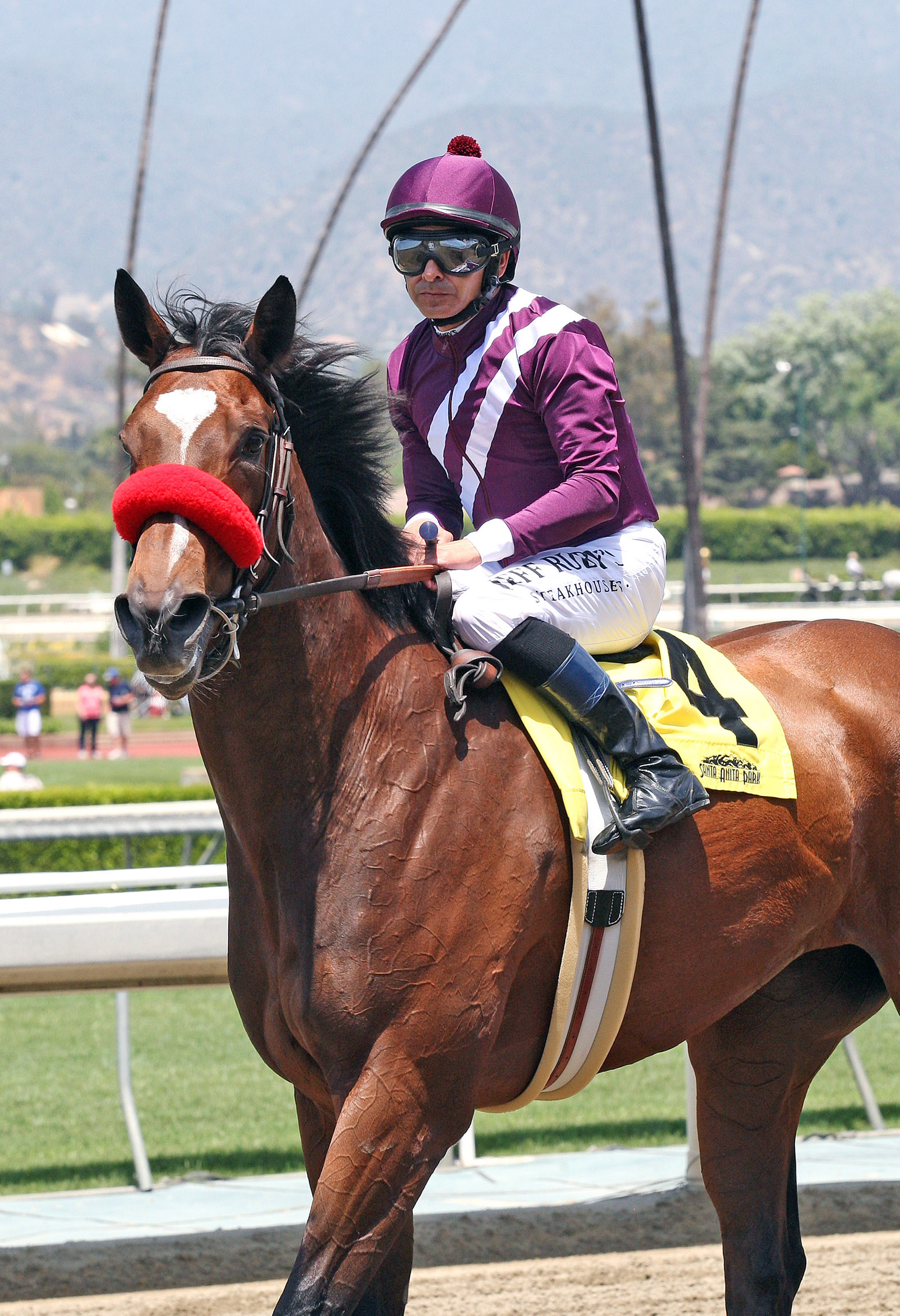 My Sweet Addiction at the Desert Stormer Stakes