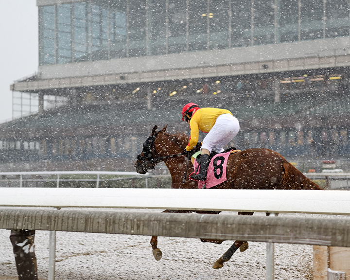 Aqueduct racing in snow November 2018
