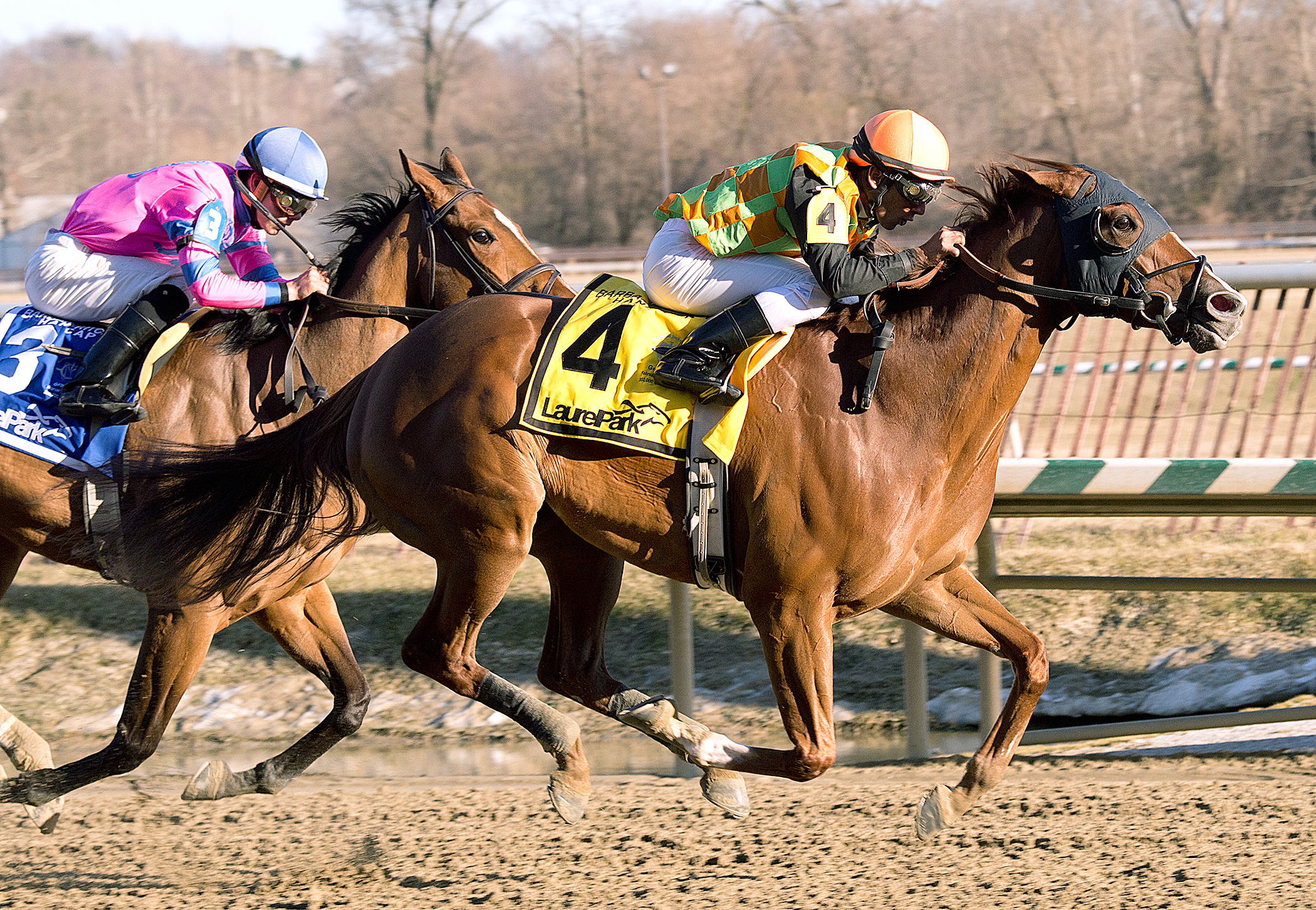 My Wandy's Girl wins the Fritchie