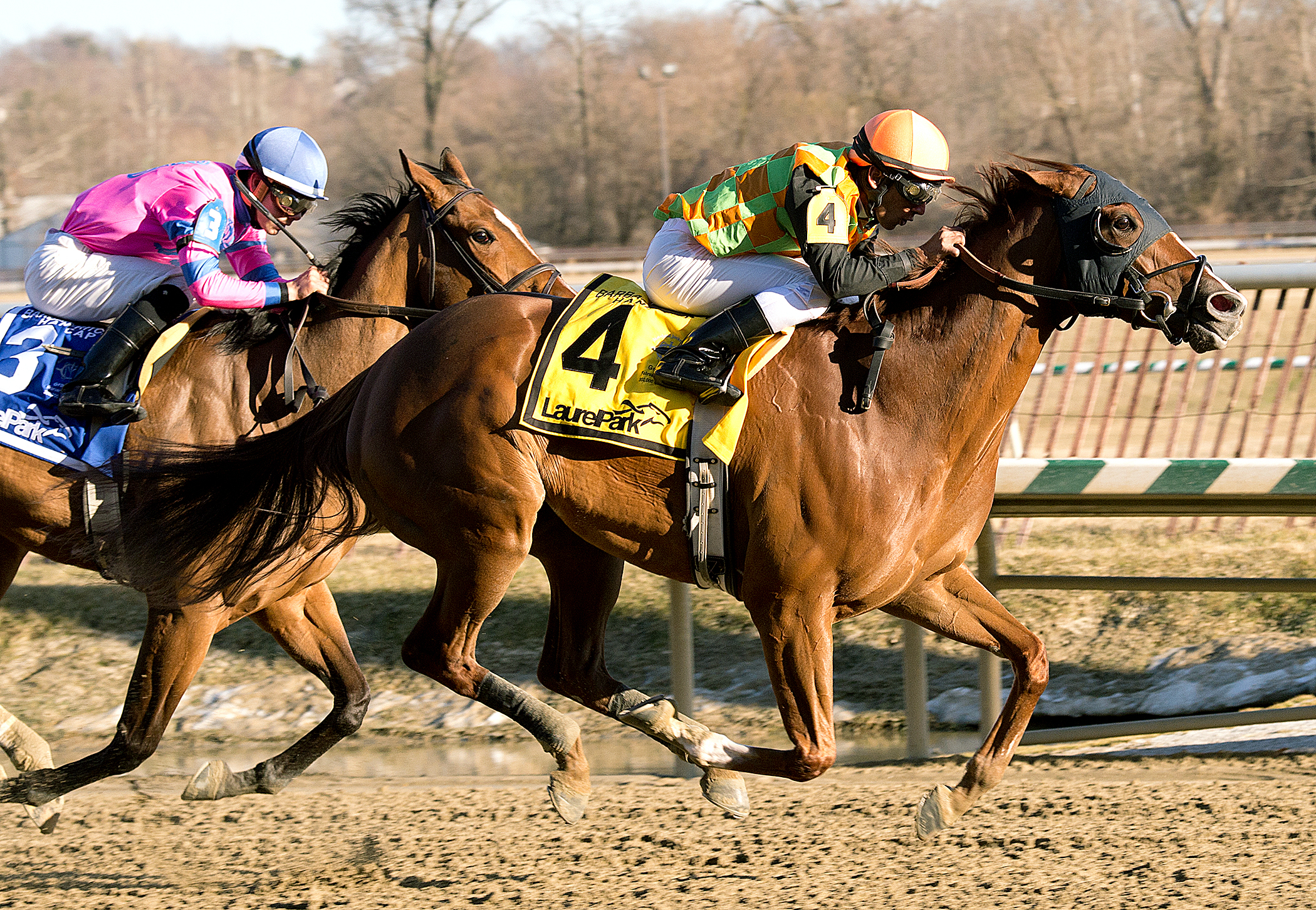 My Wandy's Girl wins the Barbara Fritchie Handicap