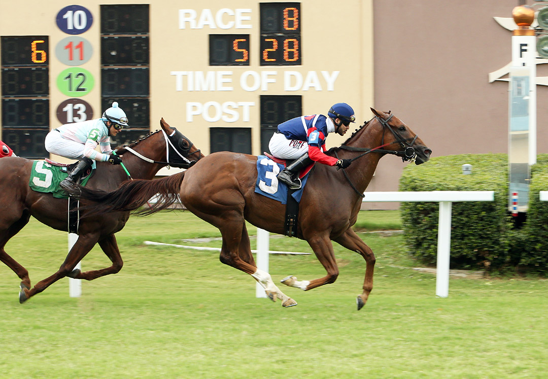My Boanerges beats Archidust in the 2021 Grand Prairie Turf Sprint Stakes at Lone Star Park