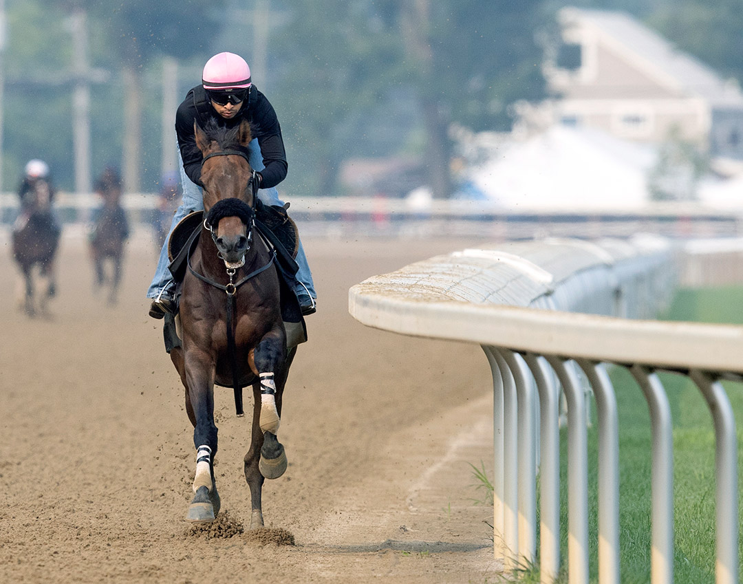 My Boy Tate trains at Saratoga Race Course on July 20