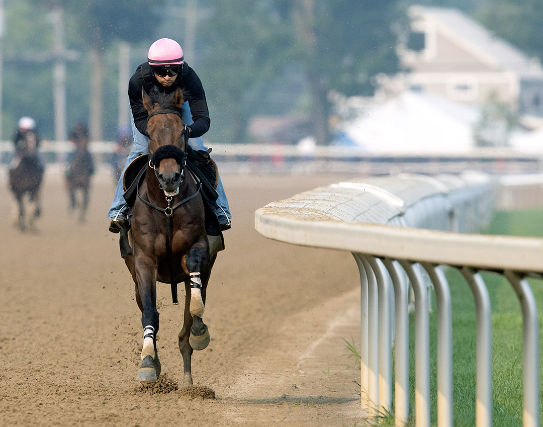 My Boy Tate trains at Saratoga Race Course on July 20