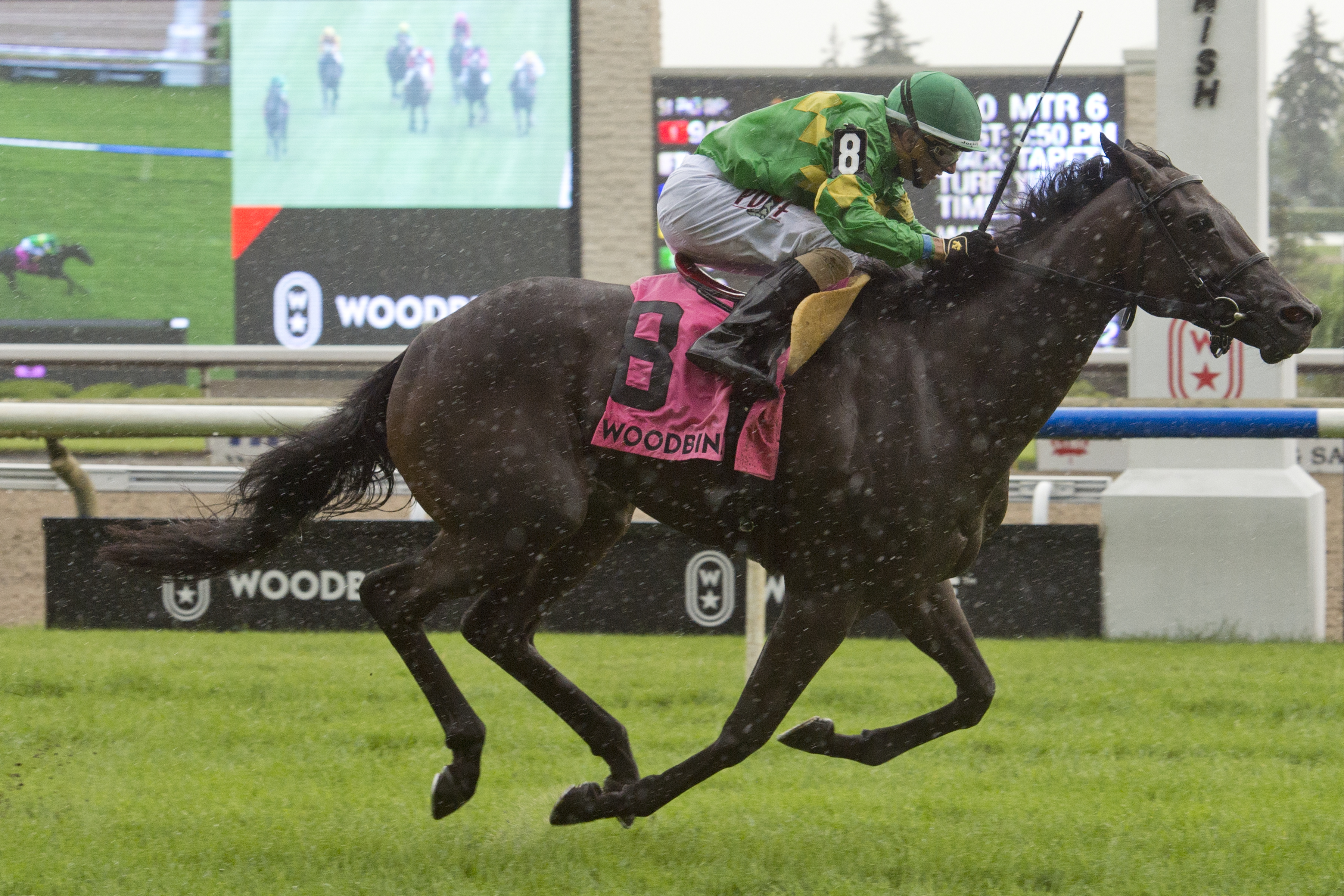 My Gal Betty wins the 2018 Catch a Glimpse Stakes