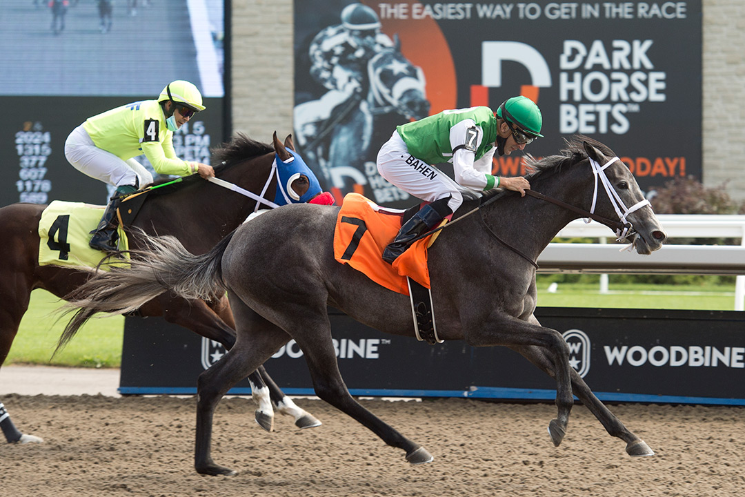 My Girl Sky wins a Sept. 5 maiden race at Woodbine