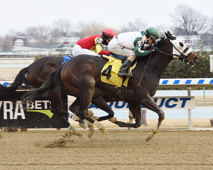 My Roxy Girl wins a Feb. 9, 2018, maiden race at Aqueduct Racetrack