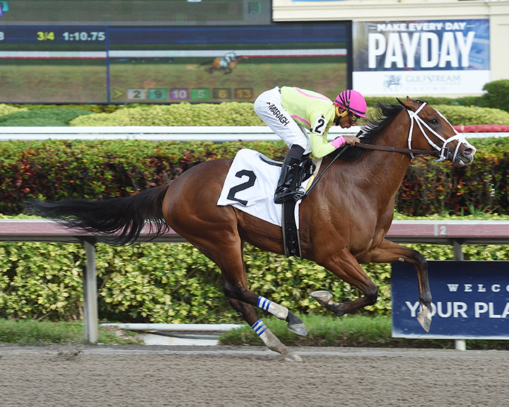 Mybigitalianfriend wins a Dec. 16 maiden race