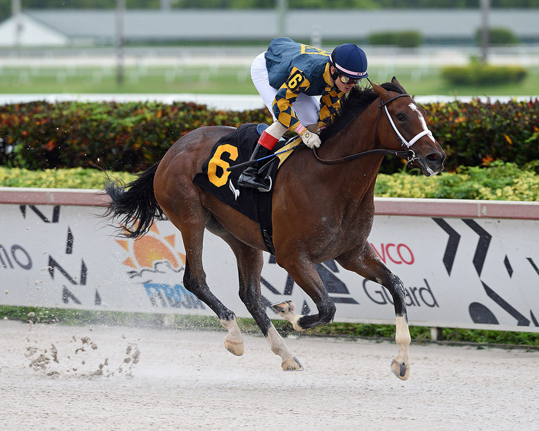 Myfavoritedaughter wins a June 30 maiden race at Gulfstream Park