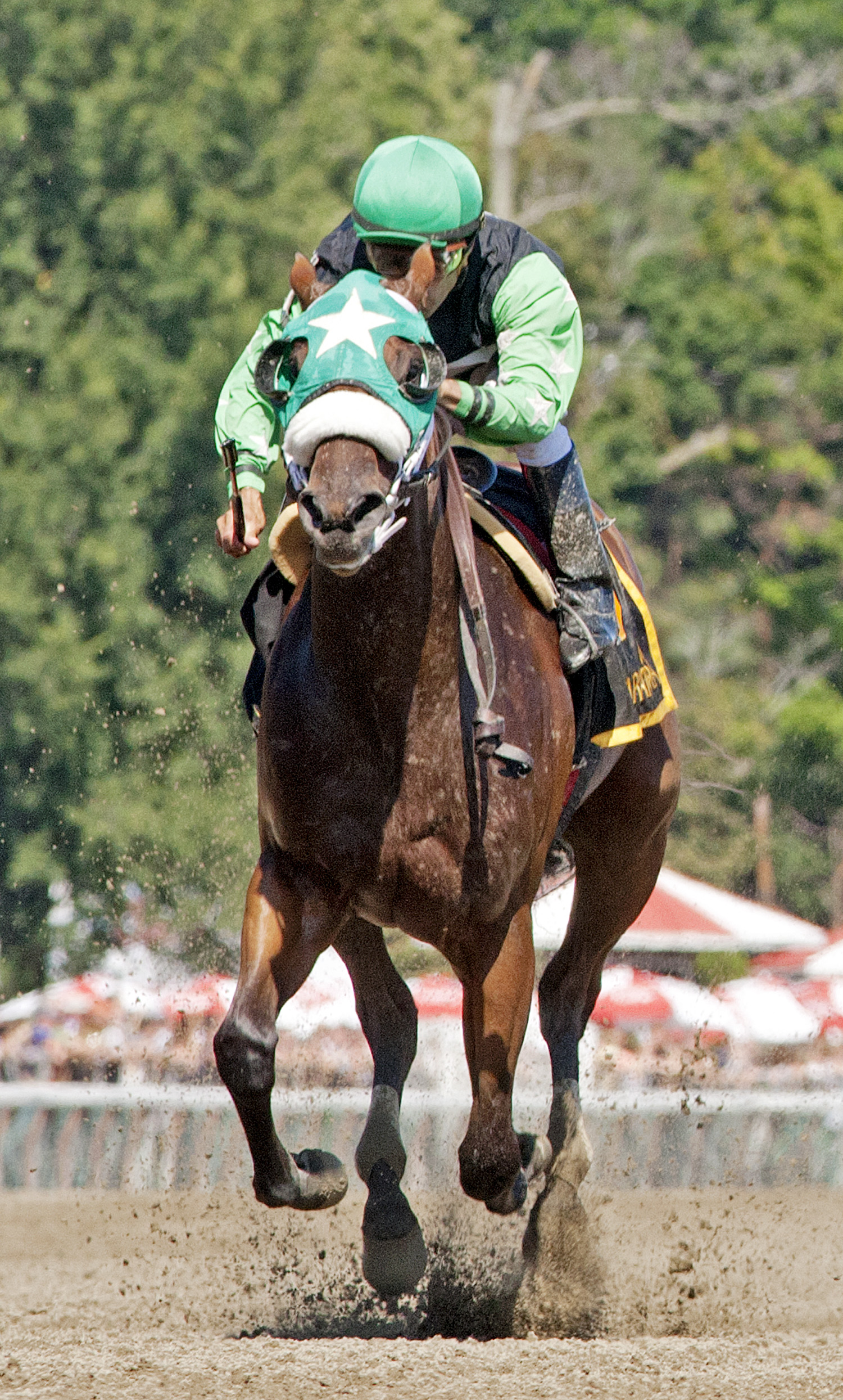 Myfourchix wins 2014 Seeking the Ante