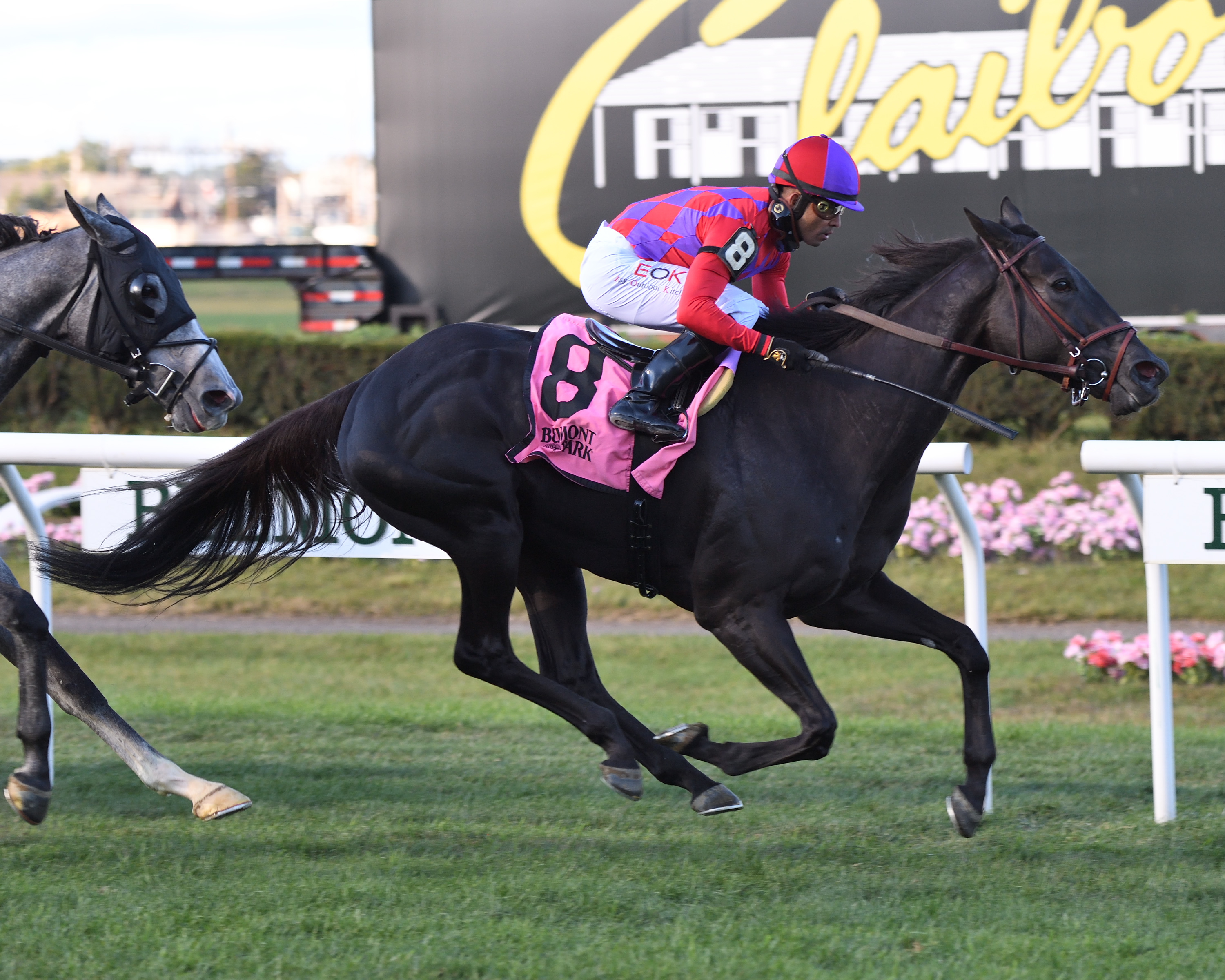 Myhartblongstodady wins the John Hettinger.10-1-2021
