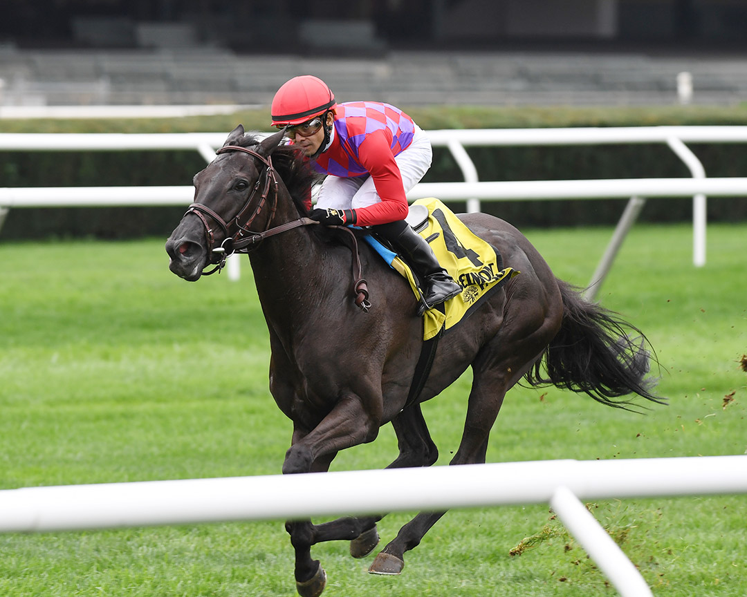 Myhartblongstodady wins the 2020 Ticonderoga Stakes at Belmont Park