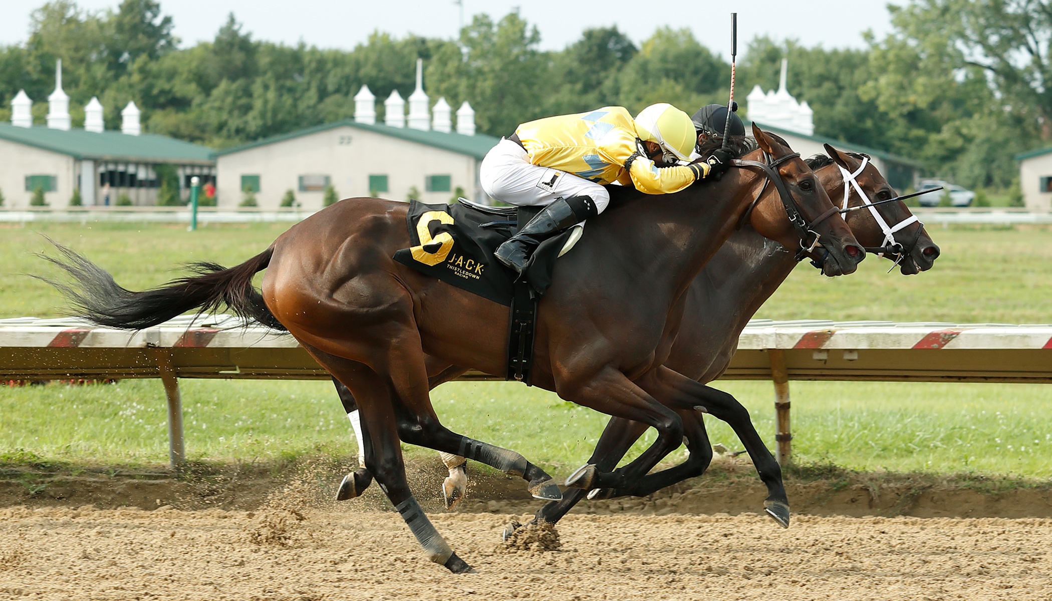 Mylady Curlin (inside) wins the Lady Jacqueline over Gotham Gala at Thistledown 8-17-2019.JJZ