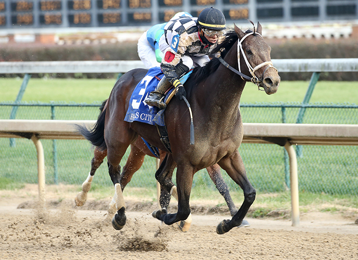 Mylady Curlin wins the 2019 Falls City Handicap at Churchill Downs
