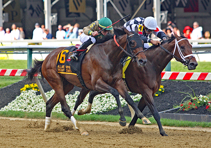 Mylady Curlin wins the 2019 DuPont Distaff
