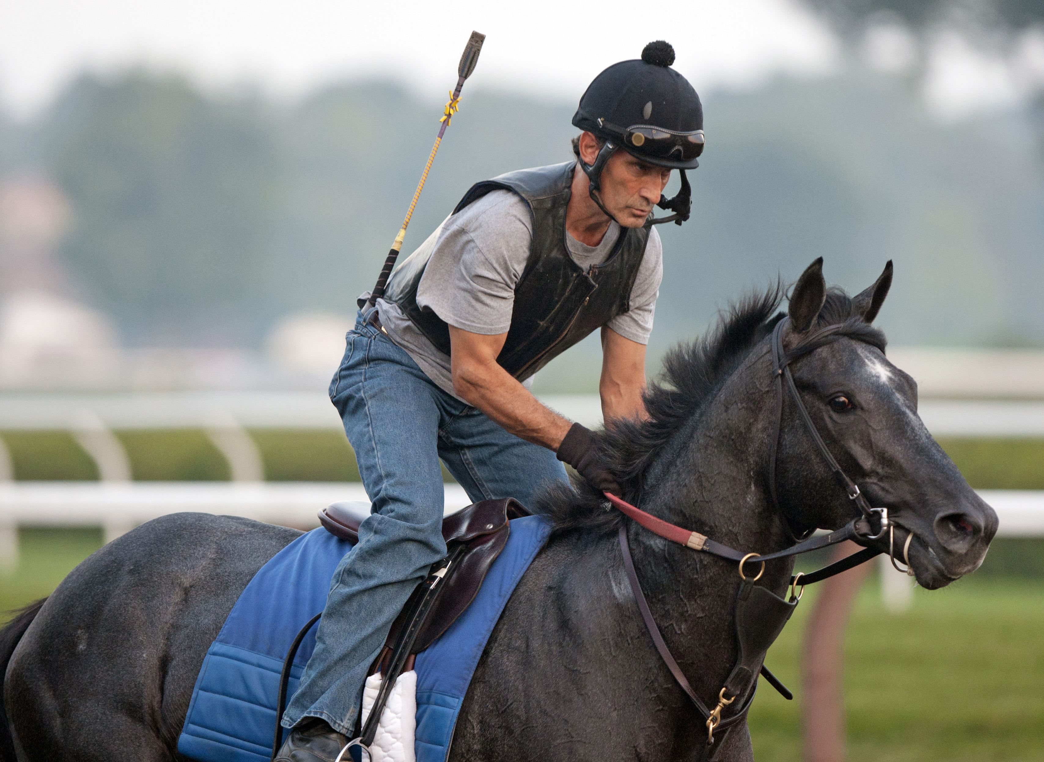 Mylute at Saratoga on July 18