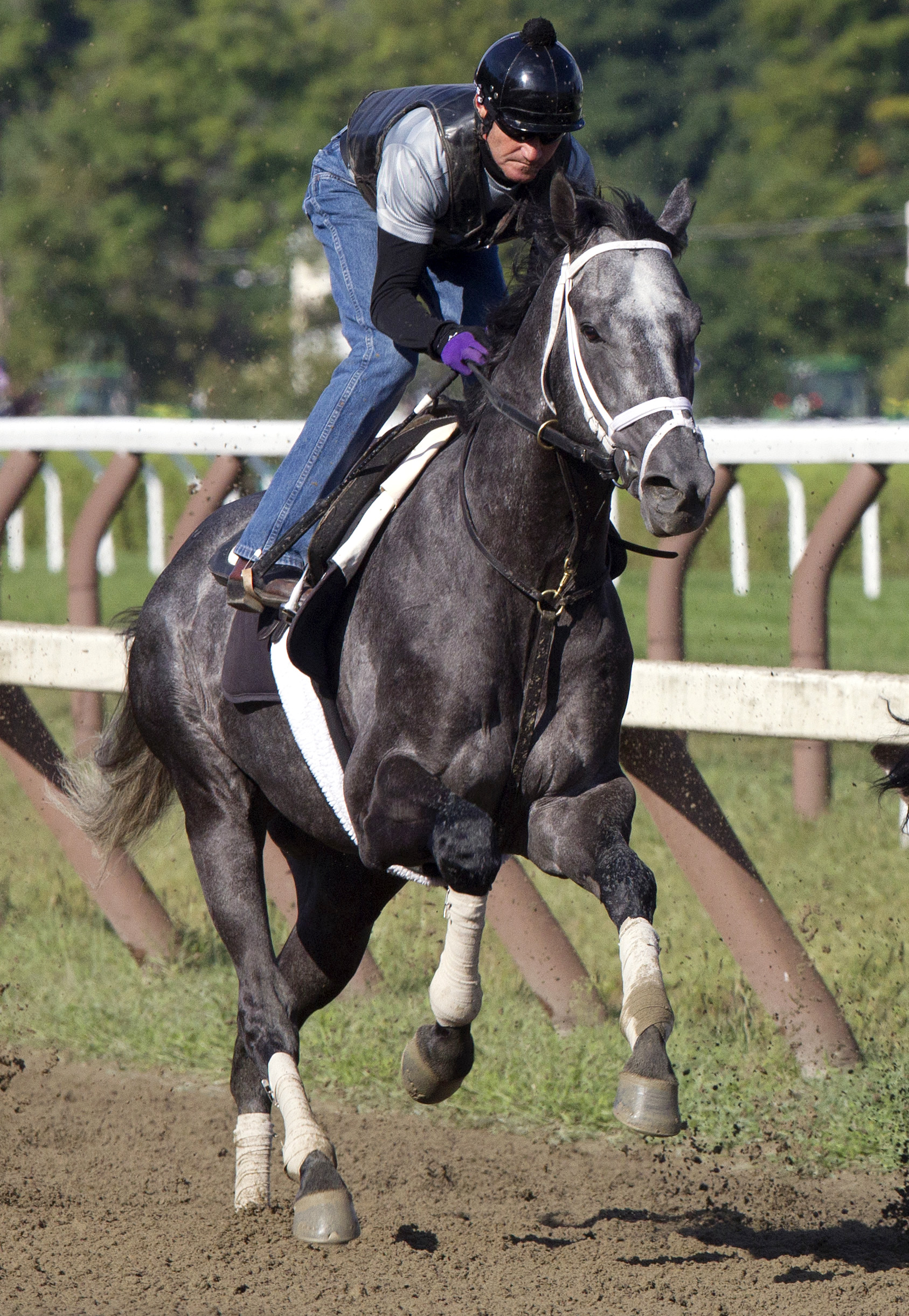 Mylute trains at Saratoga on Aug. 22