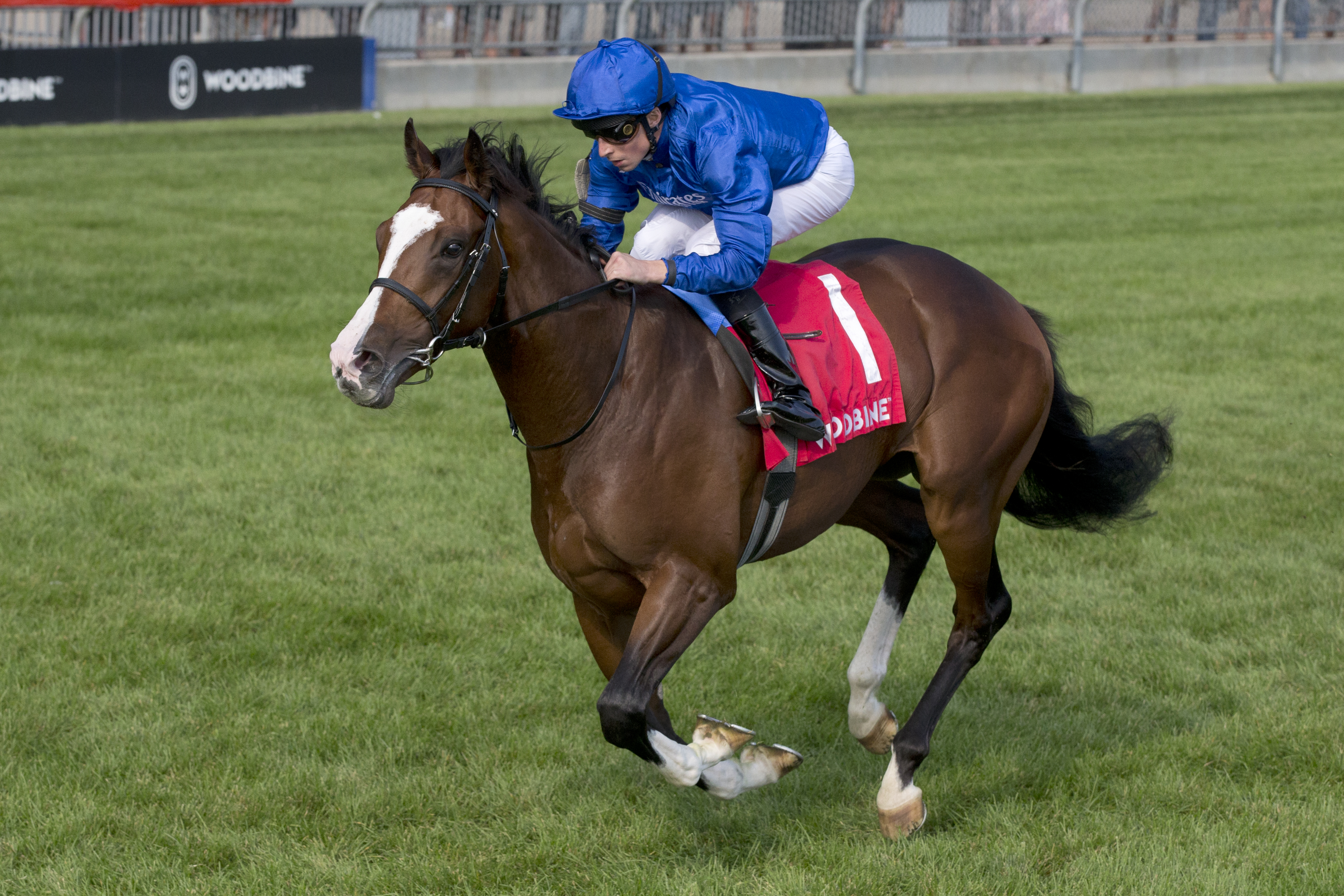 Mysterious Night - Summer Stakes 2022