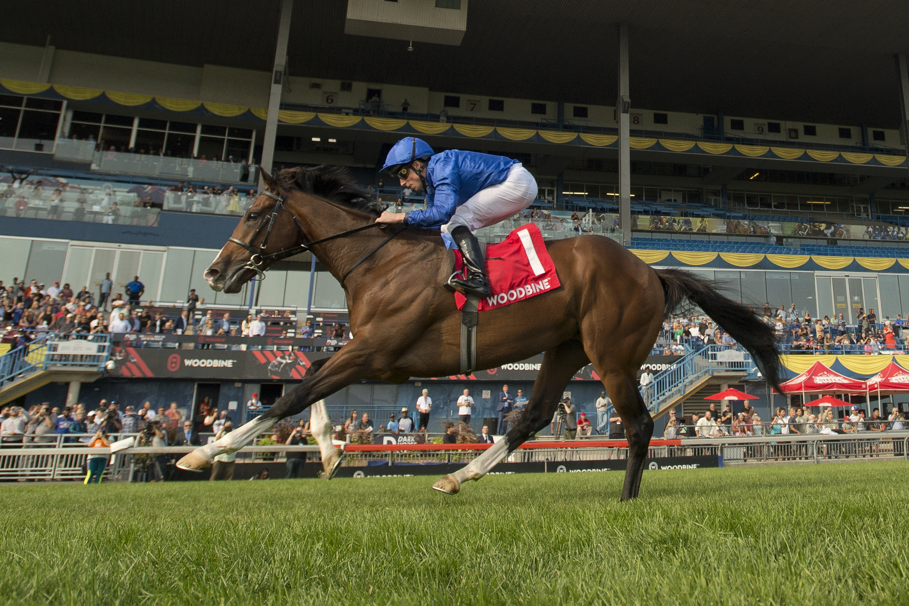 Mysterious Night wins the Summer Sept 17 2022