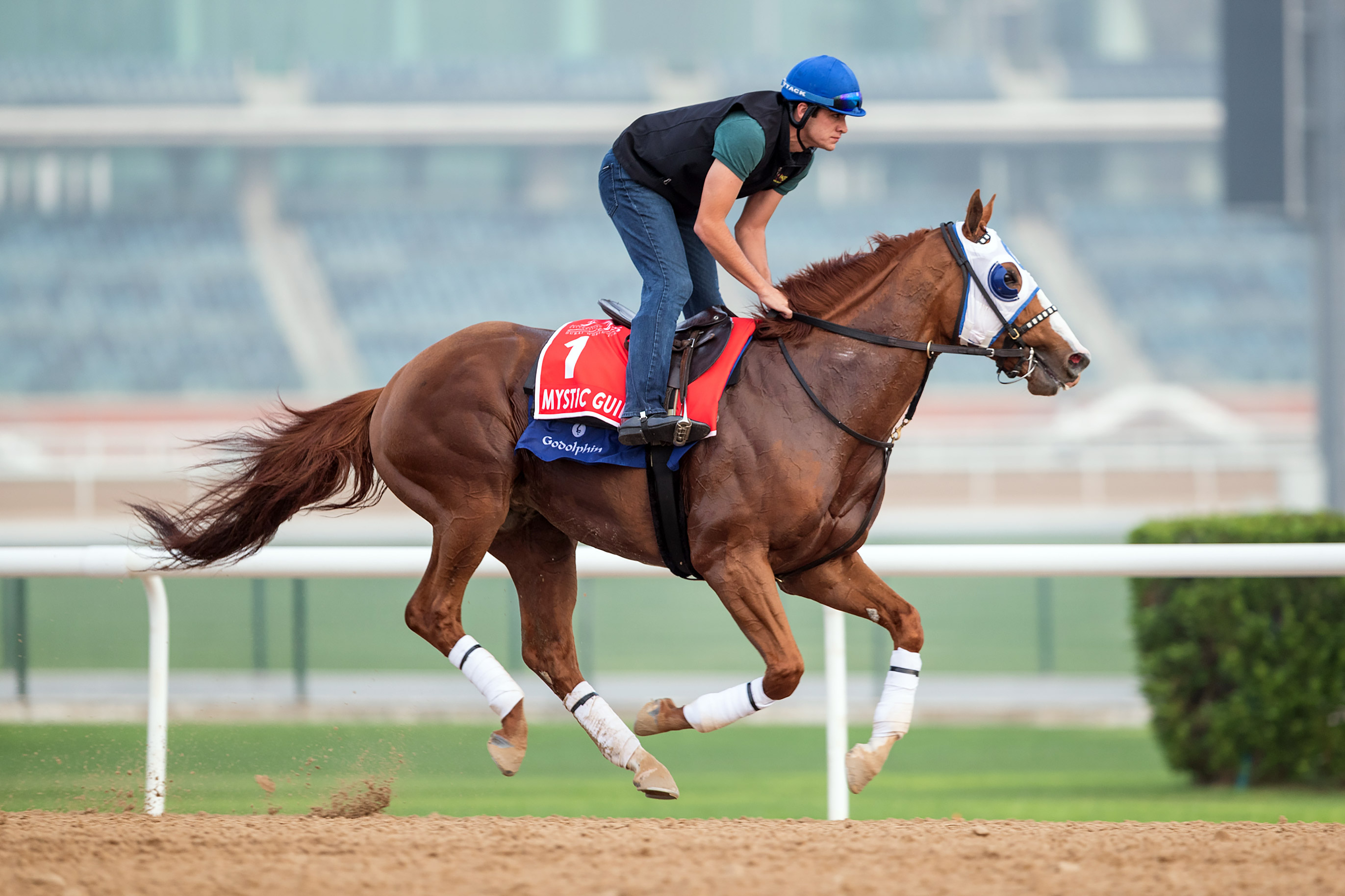 Mystic Guide trains at Meydan Racetrack on March 22